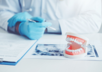 showing dentist with dental model and treatment plan for patients in NSW